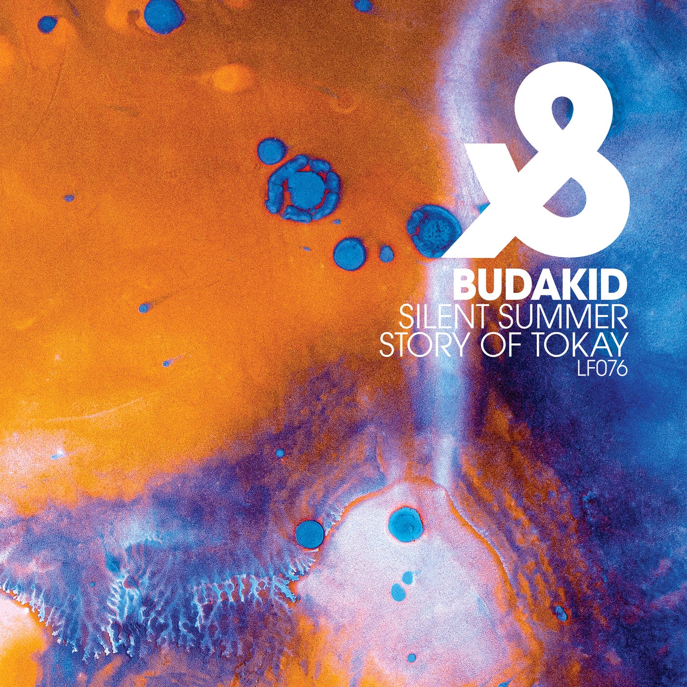 Budakid - Silent Summer - Story Of Tokay [LF076D]